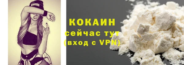 твердый Арсеньев