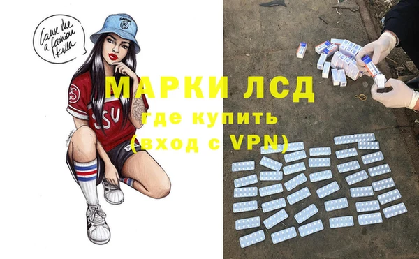 PSILOCYBIN Аркадак