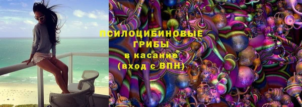 гидра Зеленодольск