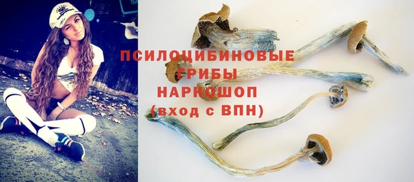 твердый Арсеньев