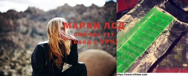 твердый Арсеньев