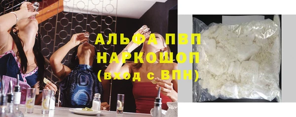 PSILOCYBIN Аркадак