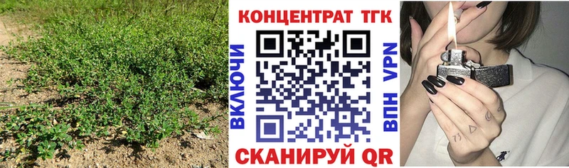 как найти закладки  Барыш  блэк спрут как зайти  Дистиллят ТГК вейп 