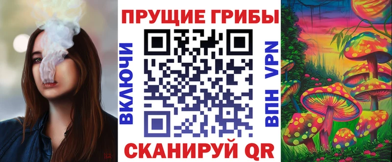 MEGA tor Барыш Галлюциногенные грибы GOLDEN TEACHER